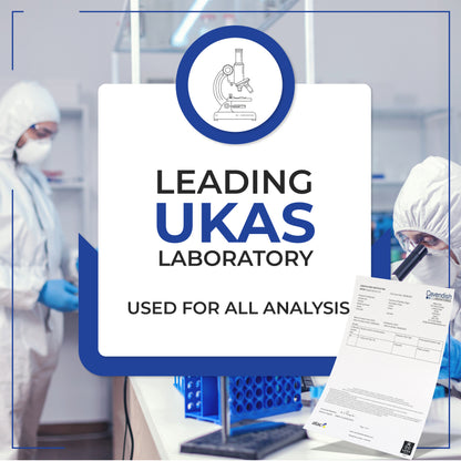 Complete Asbestos Test Kit DIY at Home